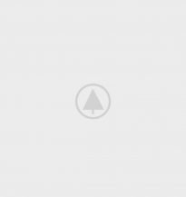 wood-portfolio-placeholder